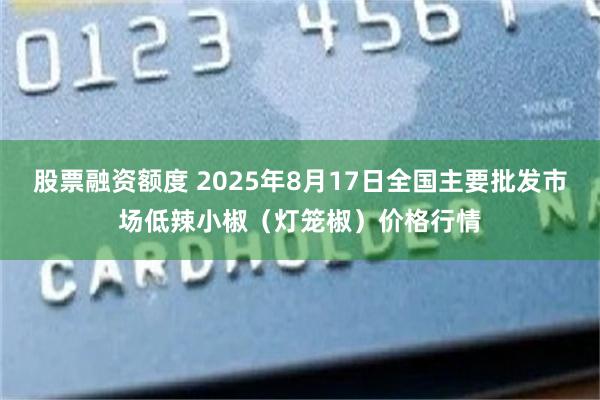 股票融资额度 2025年8月17日全国主要批发市场低辣小椒（灯笼椒）价格行情